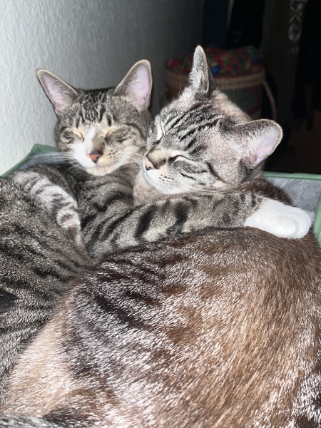 Buck & Jasper