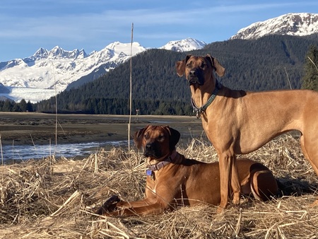 Mia and Rosie