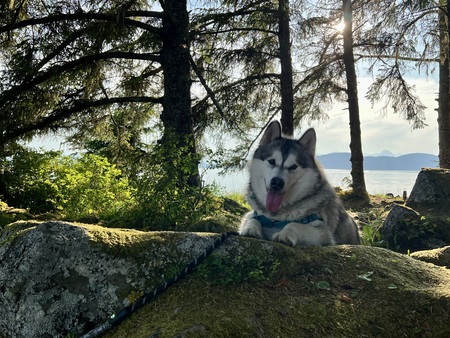 Bella