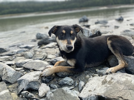 Kusko