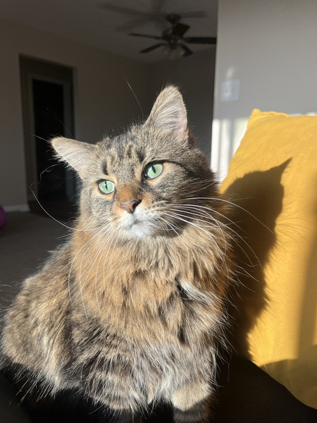 Eloise 