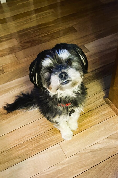 Ernie