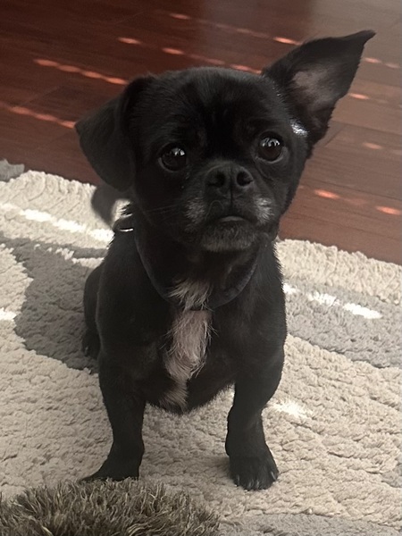 Rylo