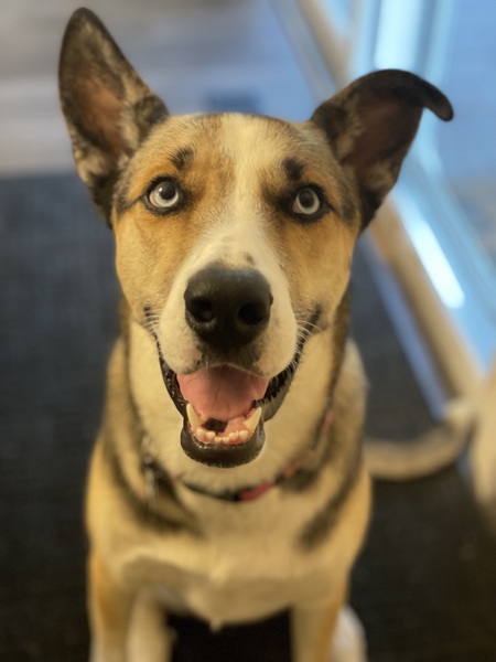 Blu