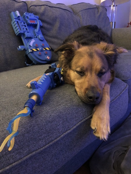 Egon