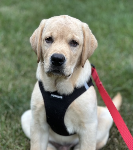 Gus