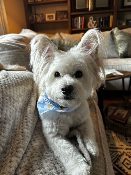 Ernie