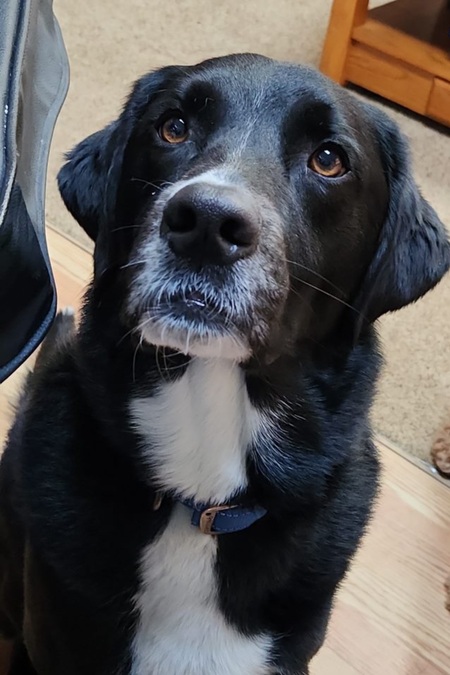 BARRY