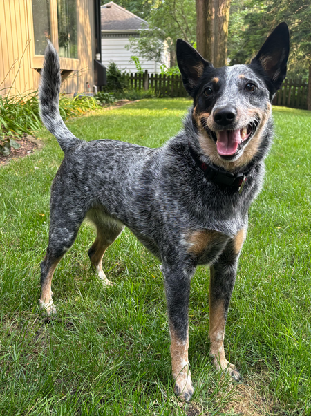 Winnie