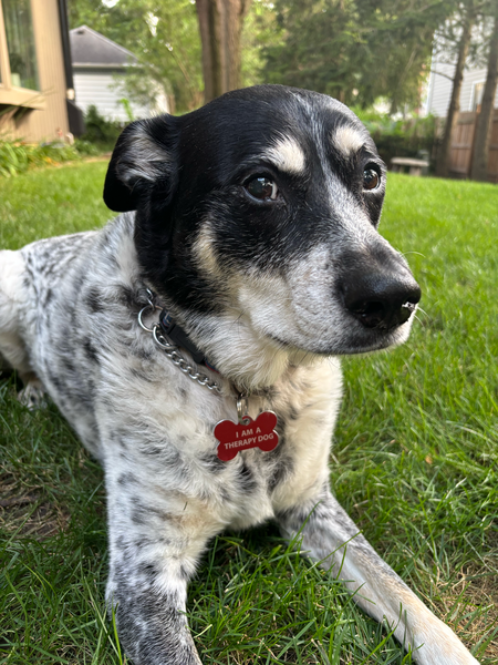 Madi