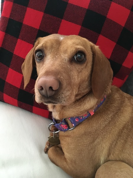 Heidi