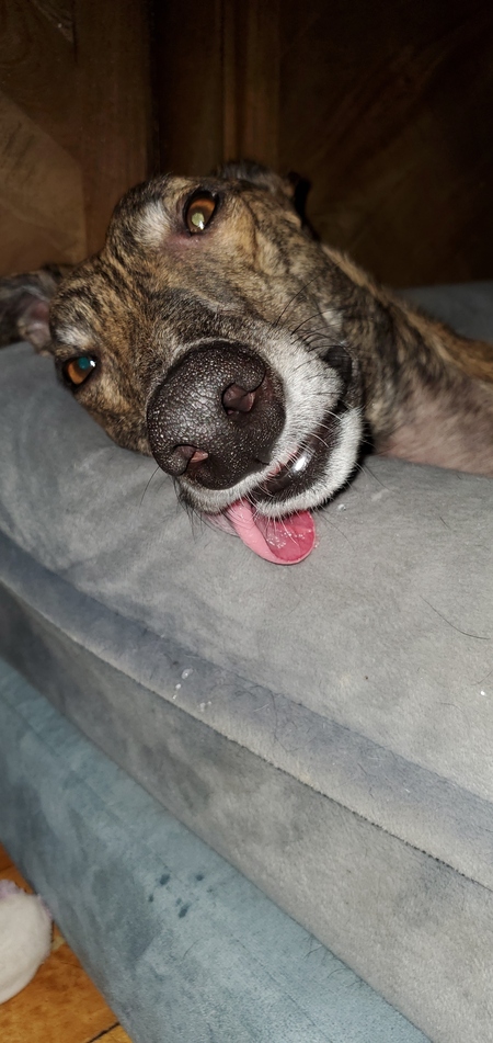 Zeus