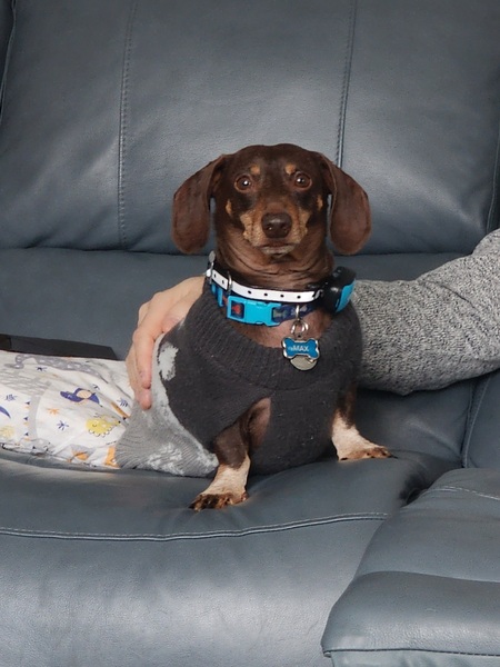 Max