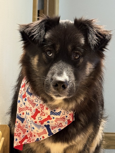 Kona
