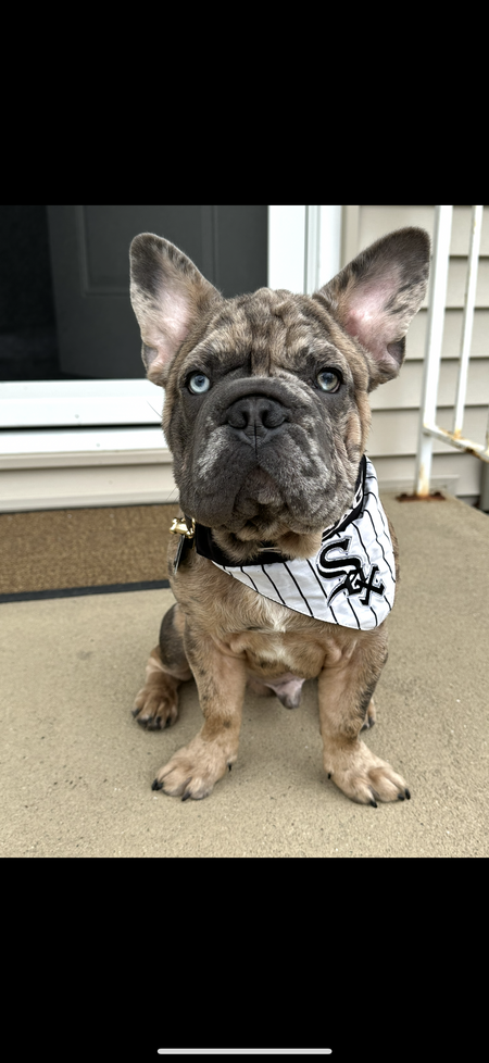 Binx Garcia