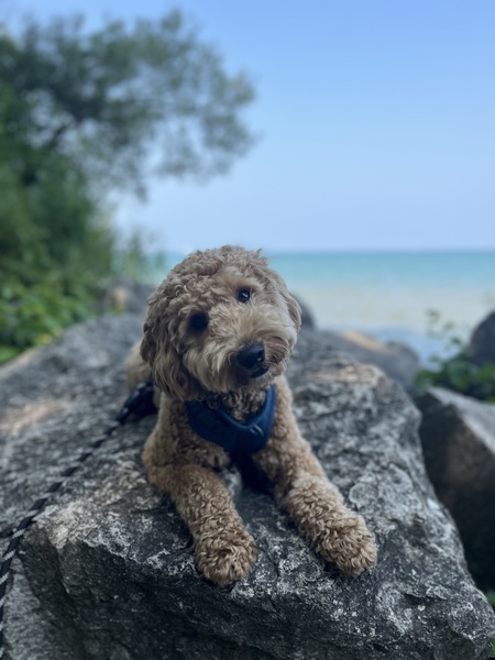 Axel 