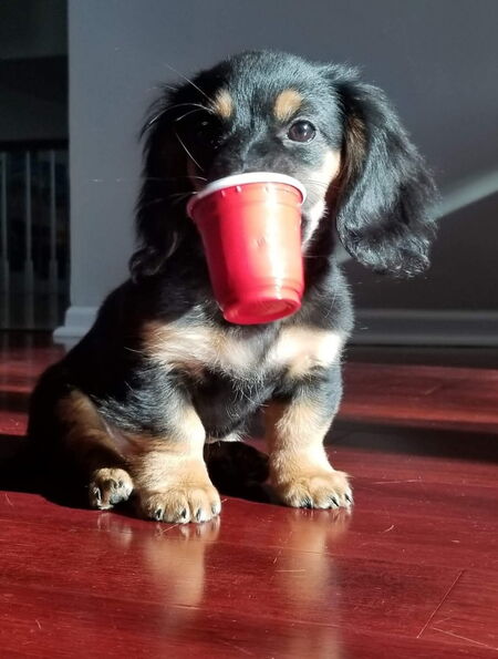 Hazel Basil Martinez 