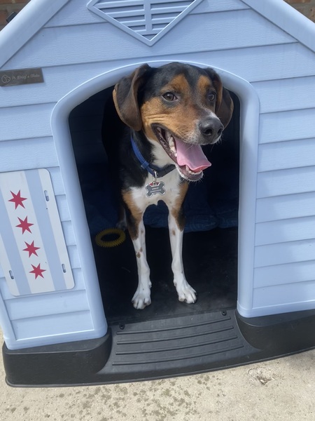 Ernie Barks