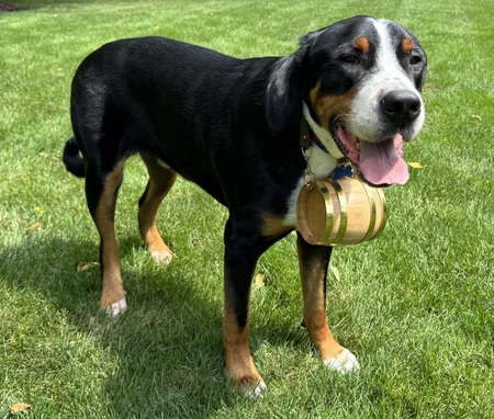 Gunther