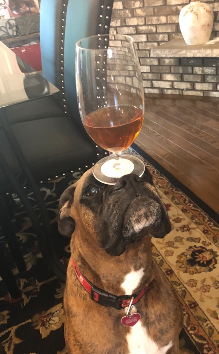 Otis