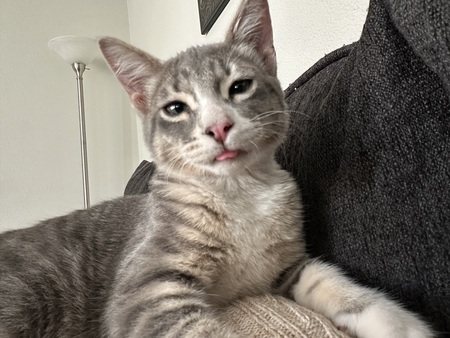 Oliver
