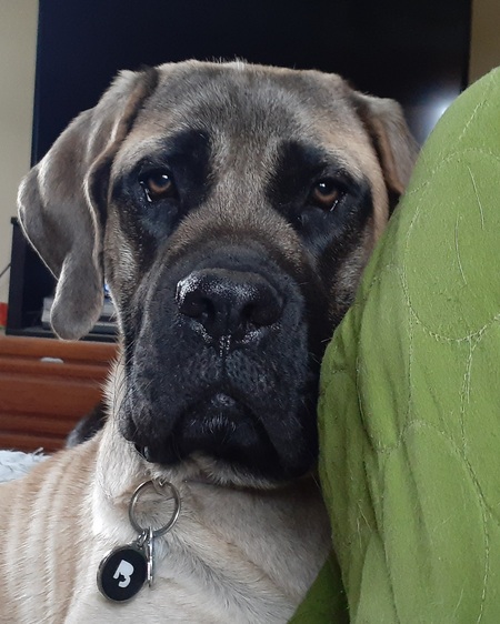 Lucy