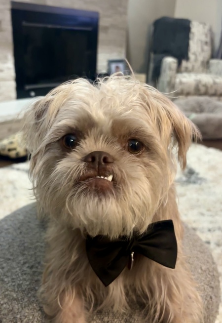 Walter