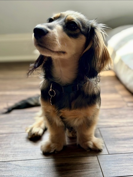 Odin