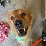 Entry image for Chloe