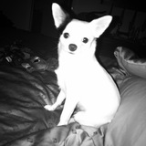 Entry image for Winston Churchill March