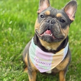 Entry image for Rory