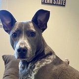 Entry image for Franklin