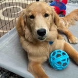 Entry image for Freya 