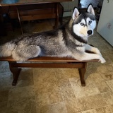 Entry image for Lager Lou