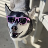 Entry image for Luna