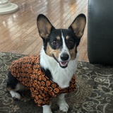 Entry image for Libby