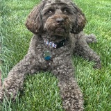 Entry image for Tucker