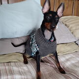 Entry image for Dante