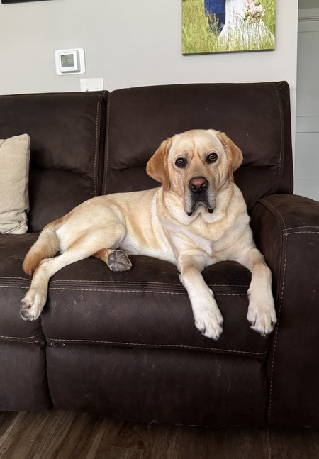 Entry image for Mack. Clicking this image will show a larger photo