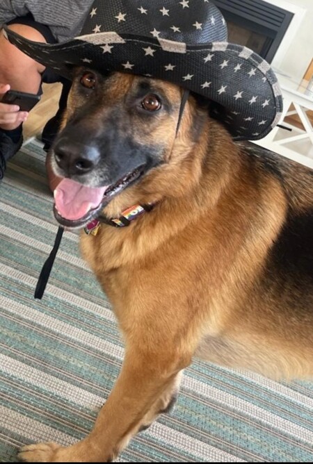 Entry image for Zoe. Clicking this image will show a larger photo