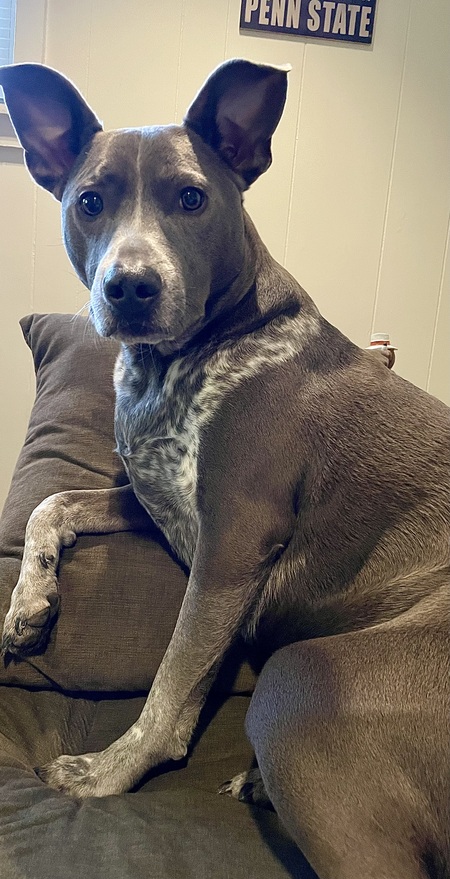 Entry image for Franklin. Clicking this image will show a larger photo