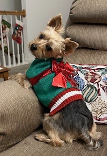 Entry image for Buddy. Clicking this image will show a larger photo