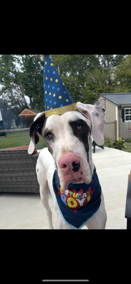 Entry image for Jakey. Clicking this image will show a larger photo