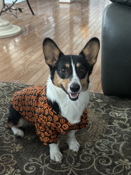 Entry image for Libby. Clicking this image will show a larger photo