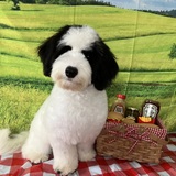 Entry image for Fiona