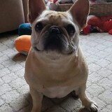 Entry image for Weezie