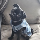 Entry image for JAXSON 