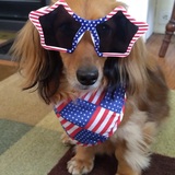 Entry image for Frankie