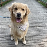 Entry image for Benny 