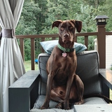 Entry image for Charlie